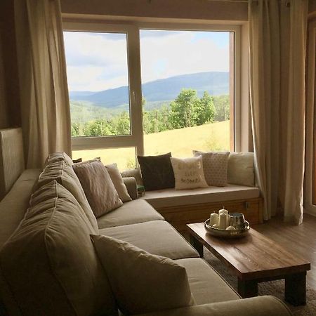 Apart-Invest Comfort Line Schreiberhau Exterior foto